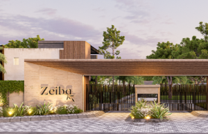 Zeiba