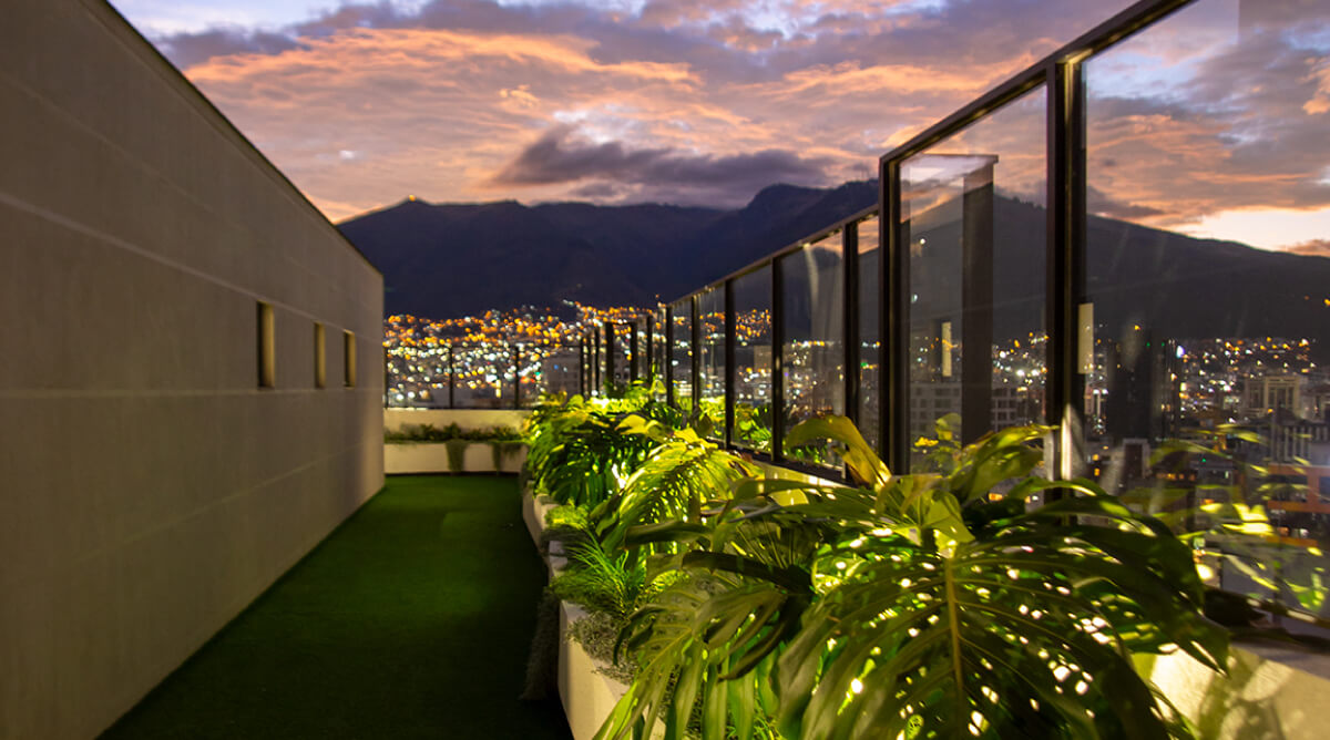 ADN, estudios y suites